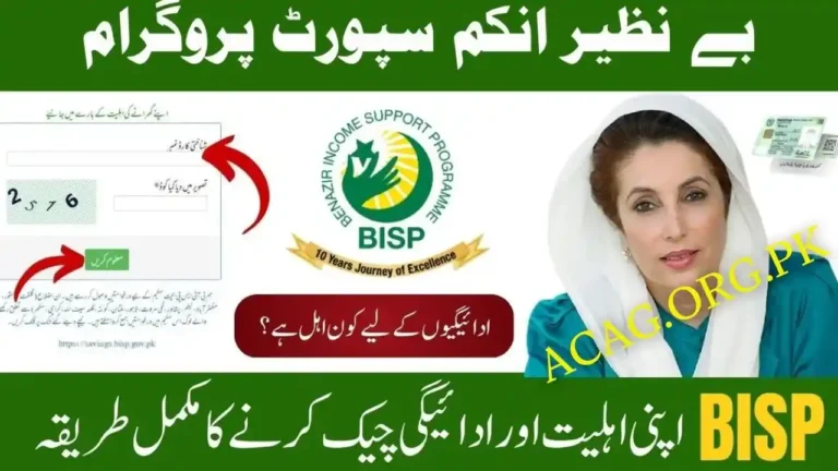 BISP 8171 Check Online October CNIC 2025