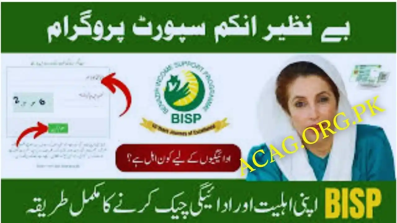 BISP 8171 Digital Wallet October 2025