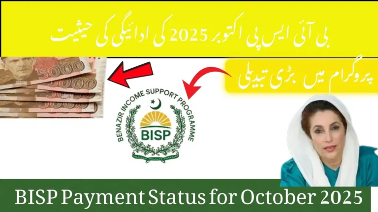 Everything You Need to Know About BISP October 2025 Scholarships for Students
