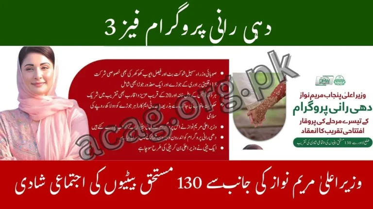 CM Maryam Nawaz Launches Phase 3 of Dehi Rani Program