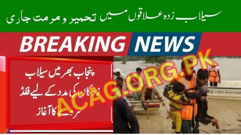 CM Maryam Nawaz Leads