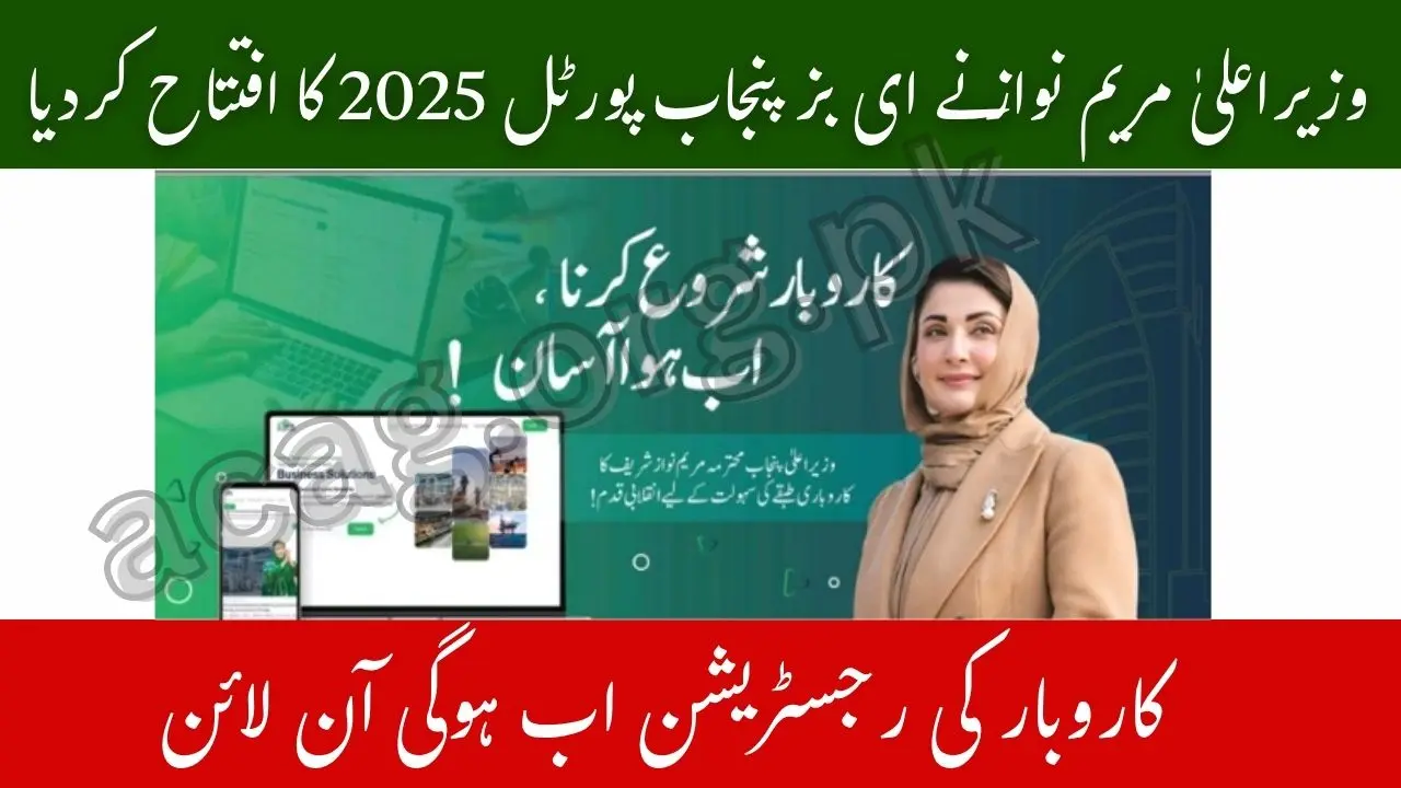 CM Maryam Nawaz eBiz Punjab Portal 2025