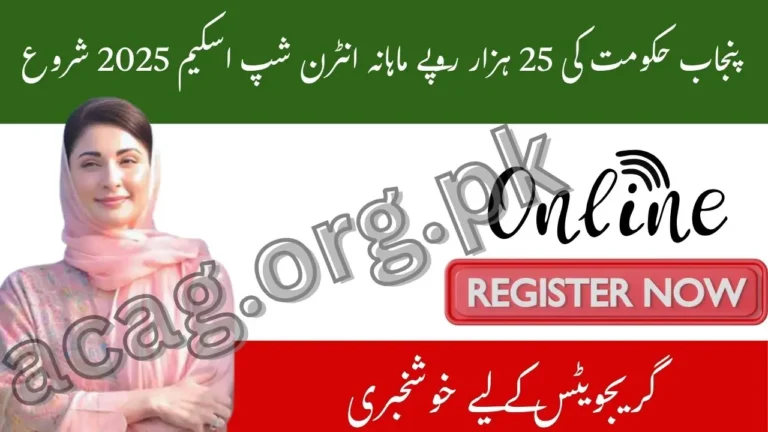 CM Punjab Announces Paid Internship Program 2025