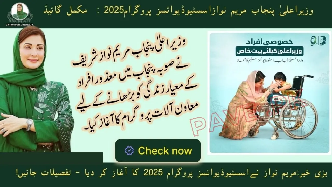 CM Punjab Disability Support Program 2025