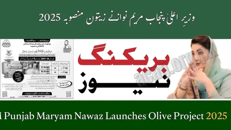 CM Punjab Maryam Nawaz Launches Olive Project 2025