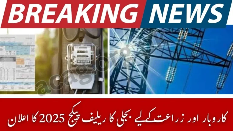 Electricity Rates Cut by Rs 10 for Industries and Farmers