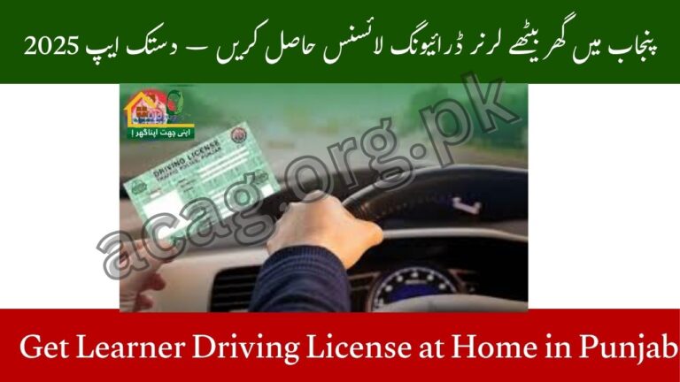 Get Learner Driving License at Home in Punjab