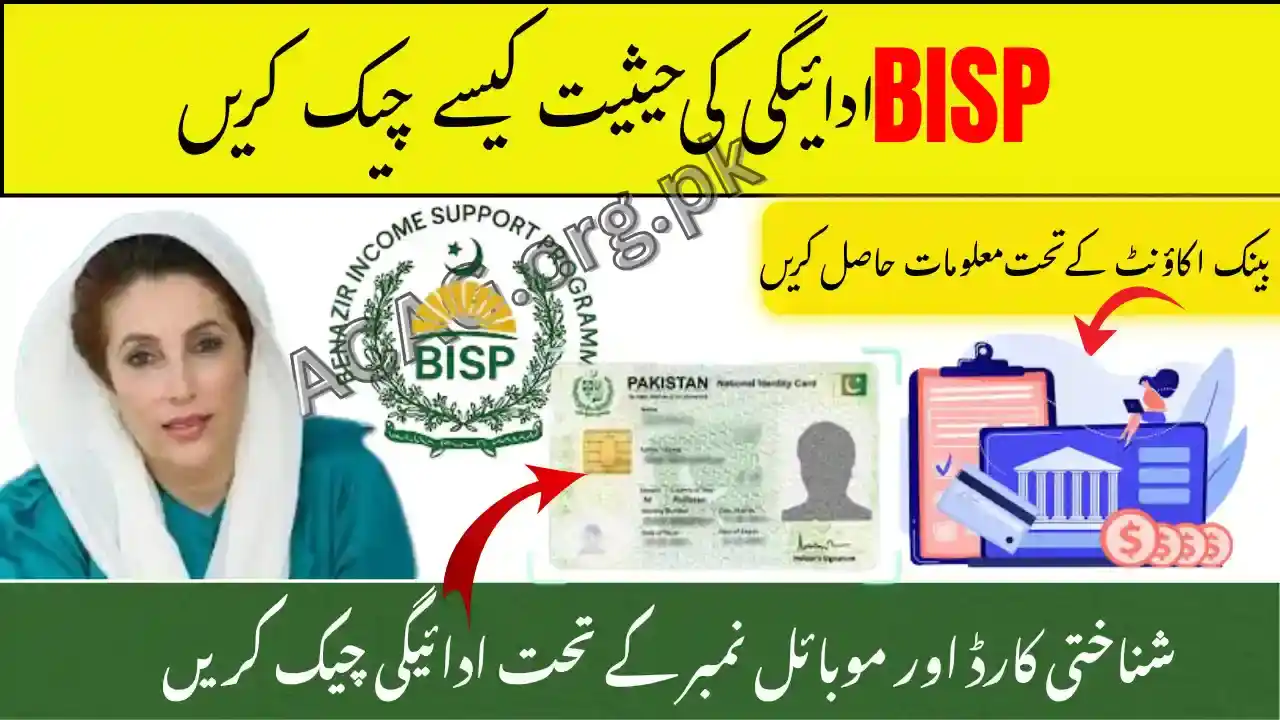 How to Check BISP October 2025