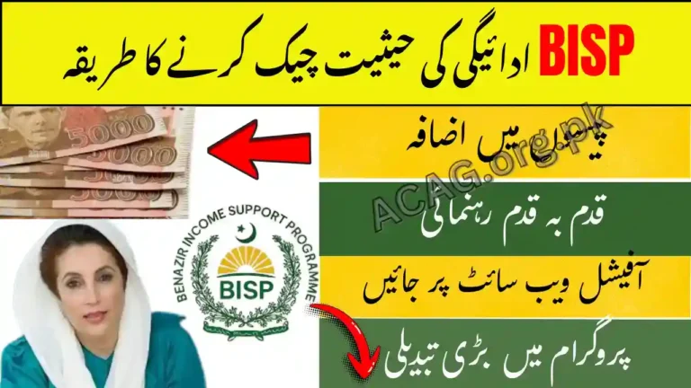 BISP 8171 Helpline for October 2025 Payment