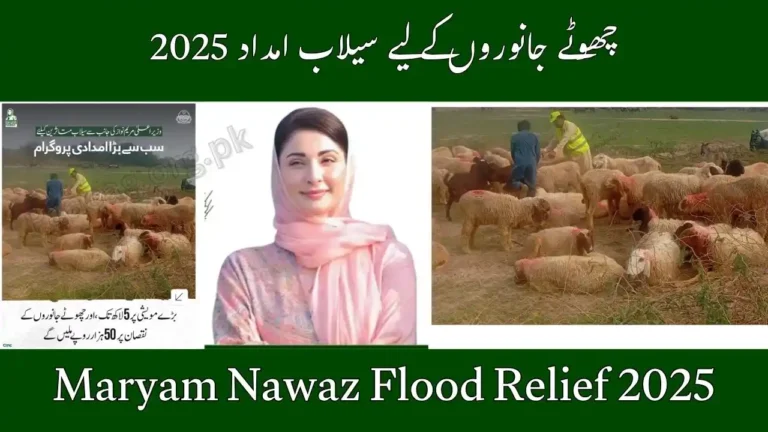 Maryam Nawaz Flood Relief 2025