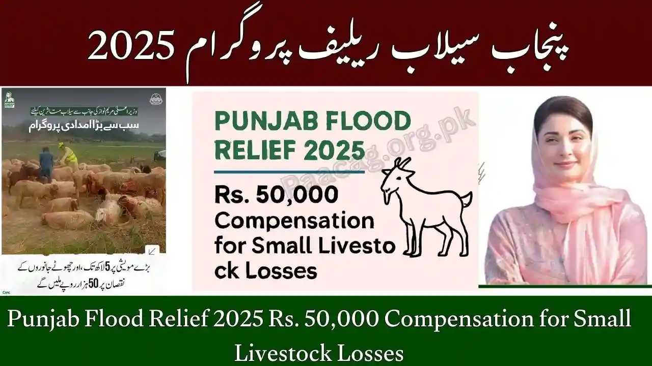 Punjab Flood Relief 2025