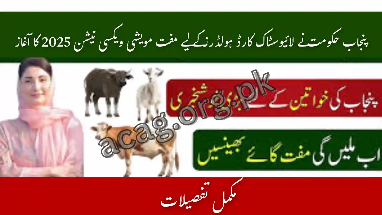 Punjab Govt Launches Free Cattle Vaccination for Livestock Card Holders 2025