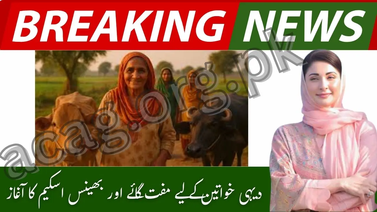 Punjab Launches Free Cow and Buffalo Scheme for Rural Women in October 2025