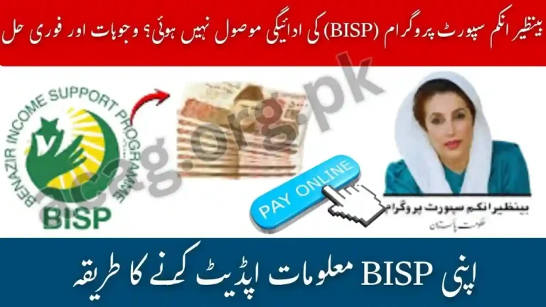 BISP Payment Not Received Reasons Fixes