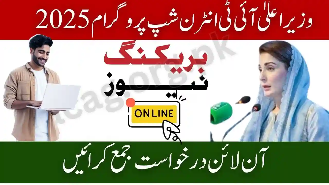 CM IT Internship Program 2025