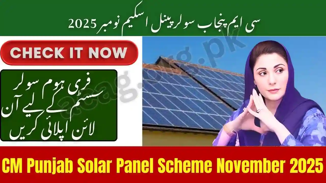 CM Punjab Solar Panel Scheme November 2025