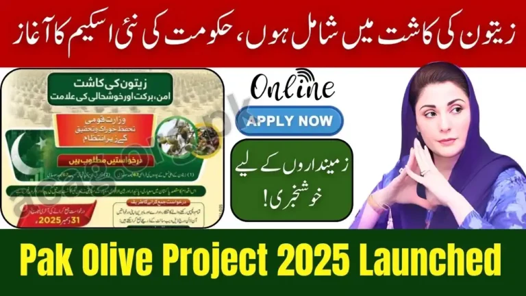 Govt Announces Nationwide Olive Farming Scheme 2025