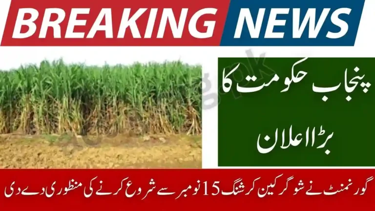 Govt Confirms Sugarcane Crushing from Nov 15