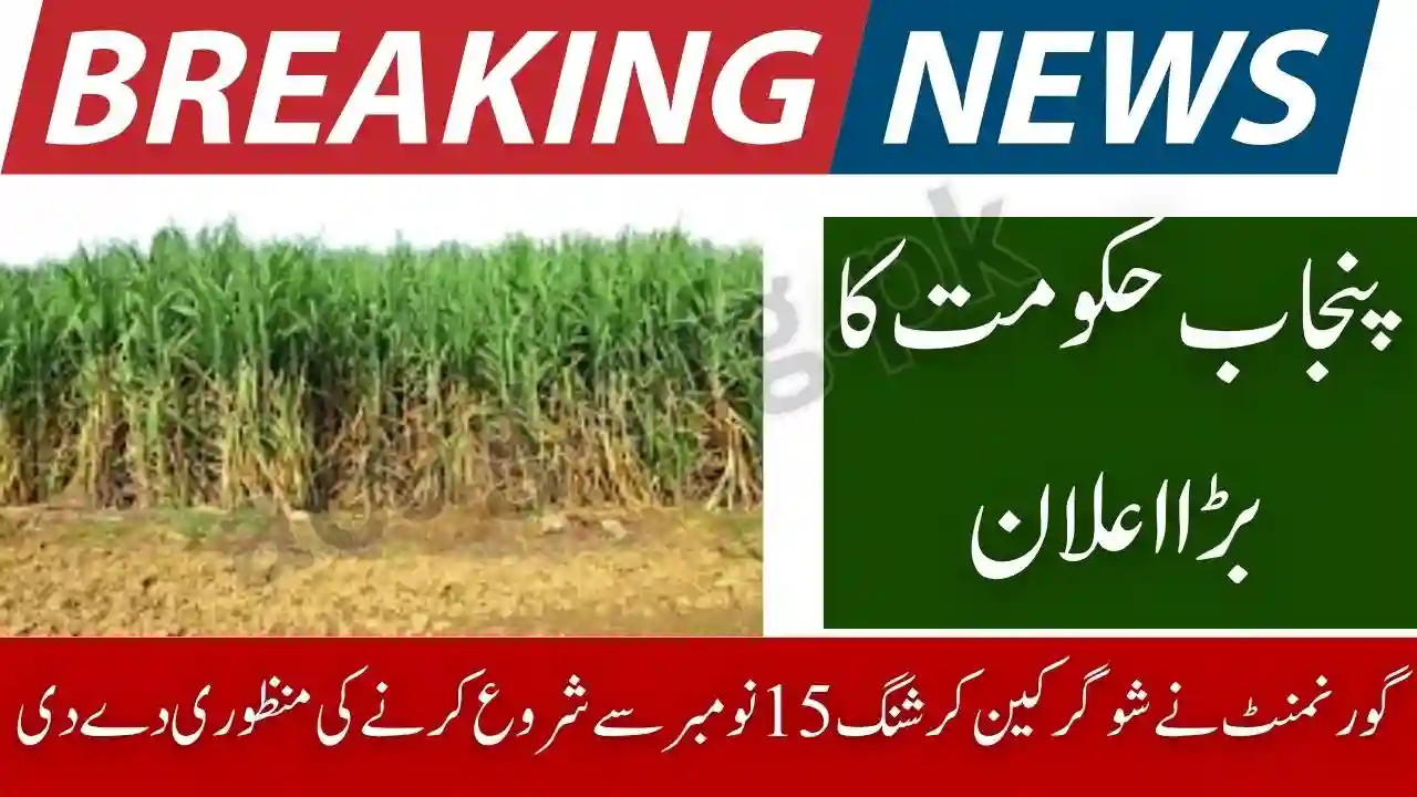 Govt Confirms Sugarcane Crushing from Nov 15