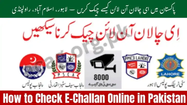 How to Check E-Challan Online in Pakistan