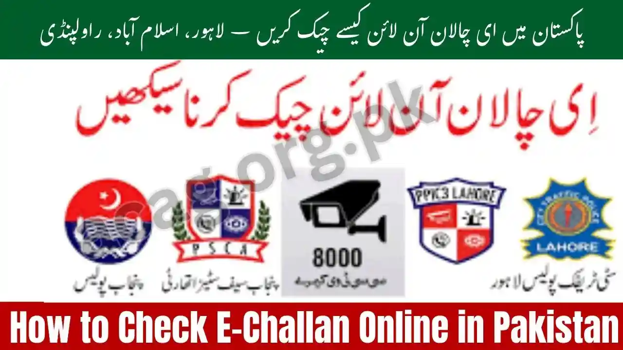 How to Check E-Challan Online in Pakistan