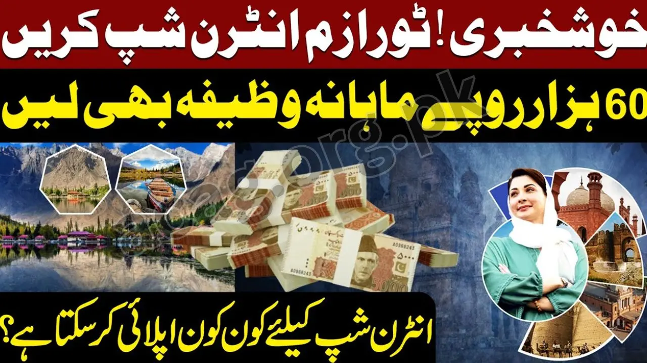 Magnificent Punjab Internship Program 2025