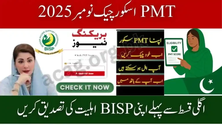 PMT Score Check November 2025