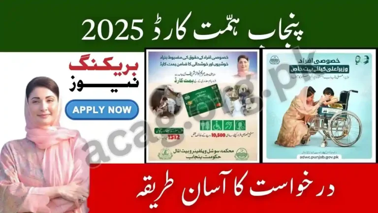Punjab Be Mat Mard 2025 Financial Assistance Special Persons Apply Now
