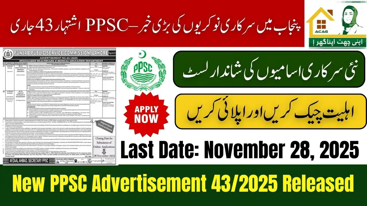 Punjab Govt Launches PPSC Advertisement 43/2025