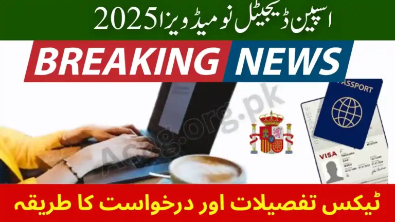 Spain Digital Nomad Visa Application Requirements